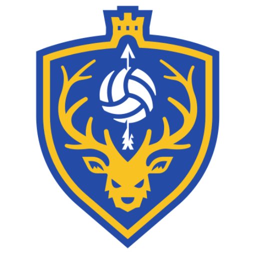 ESP Volley Logo